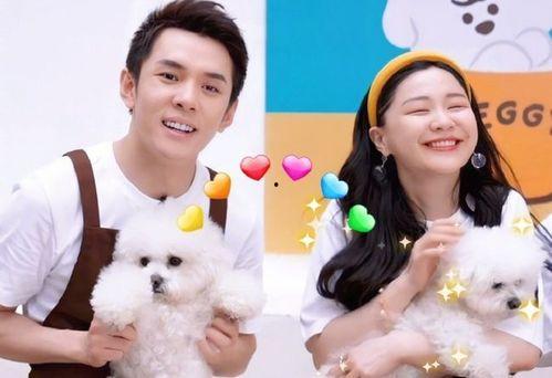 金靖最新爆料新闻,揭秘娱乐圈不为人知的幕后故事 第2张 金靖最新爆料新闻,揭秘娱乐圈不为人知的幕后故事 第2张