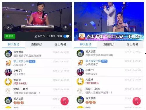 云安电视台爆料视频回放,爆料视频回放背后的惊人真相